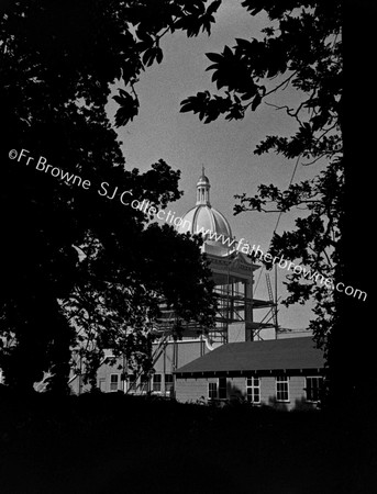 CONSTRUCTION OF CONGRESS ALTAR THROUGH TREES